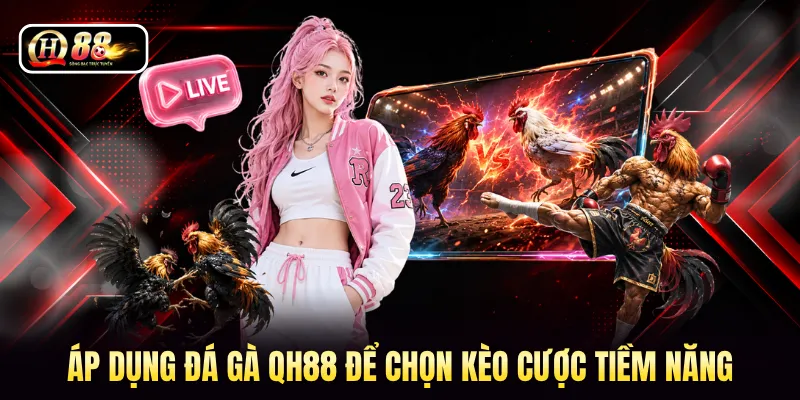 Áp dụng đá gà QH88 để chọn kèo cược tiềm năng